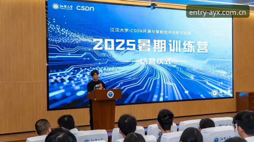 资深技术用户分享：AYX入口2025新版体验与实战心得